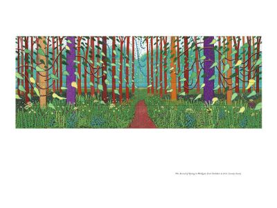 A Bigger Message: Conversations with David Hockney - 9