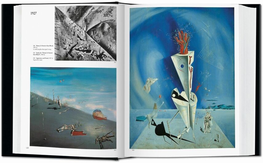 Dali: The Paintings - Bibliotheca Universalis - 3