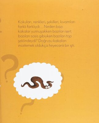 Kakademi - Birtakım Kakademik İşler - 8