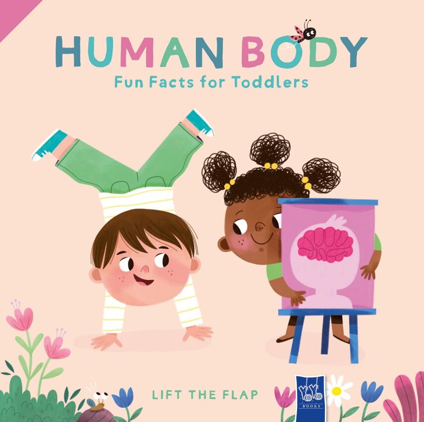 Lift the Flap: Human Body - 1