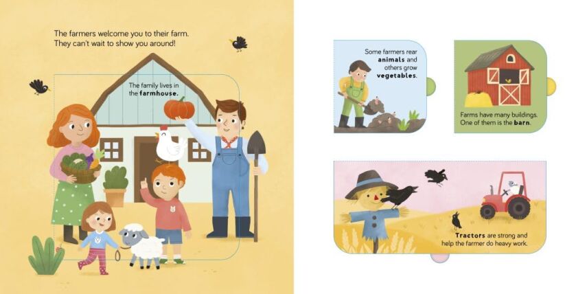 Lift the Flap: On the Farm - 2