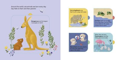Lift the Flap: Wild Animals - 2