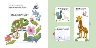 Lift the Flap: Wild Animals - 3