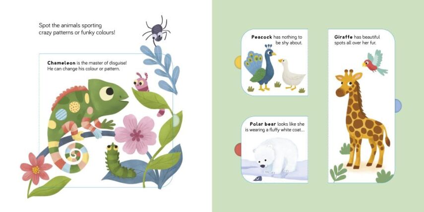 Lift the Flap: Wild Animals - 3