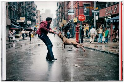 New York: Portrait of a City - 6