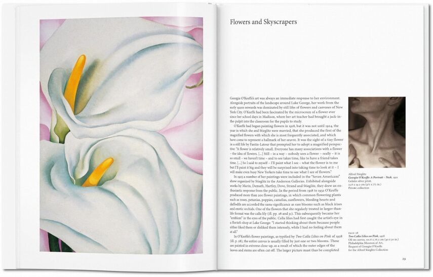 O'Keeffe - Basic Art - 4