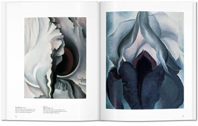 O'Keeffe - Basic Art - 5