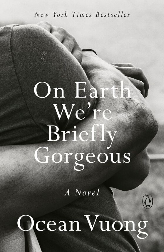 On Earth We're Briefly Gorgeous - 1