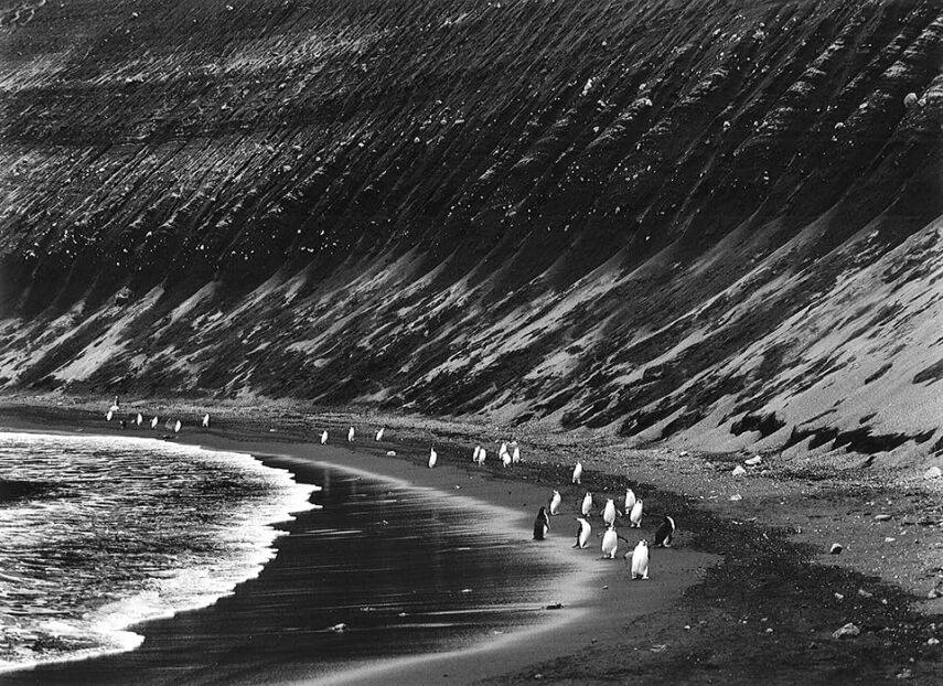 Sebastião Salgado: Glaciers - 6