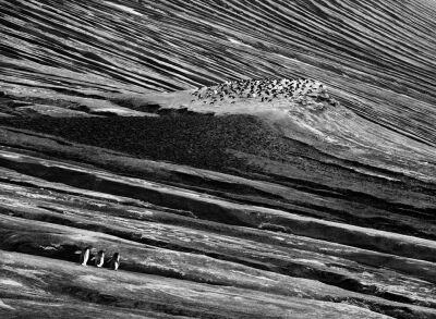 Sebastião Salgado: Glaciers - 7