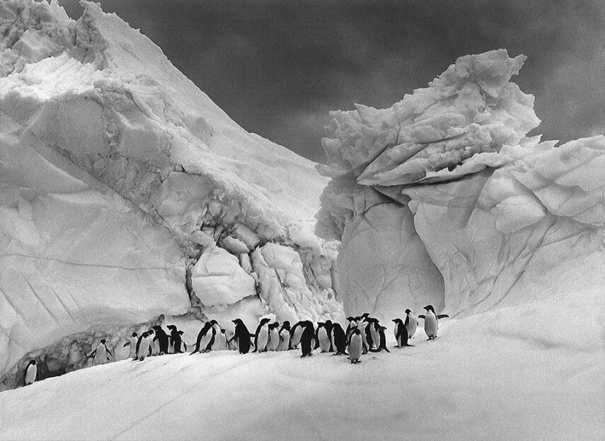 Sebastião Salgado: Glaciers - 9