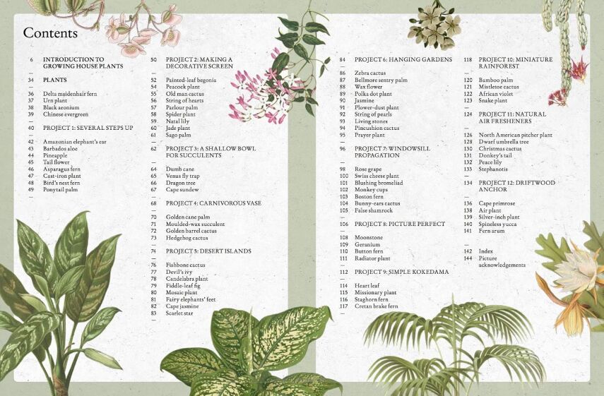 The Kew Gardener’s Guide to Growing House Plants - 2