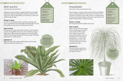 The Kew Gardener’s Guide to Growing House Plants - 4