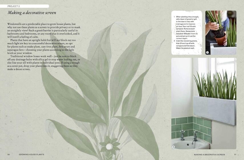 The Kew Gardener’s Guide to Growing House Plants - 5