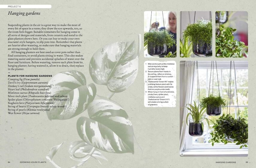 The Kew Gardener’s Guide to Growing House Plants - 7