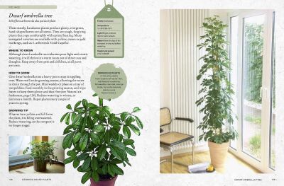 The Kew Gardener’s Guide to Growing House Plants - 8