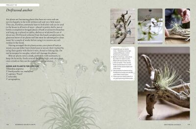 The Kew Gardener’s Guide to Growing House Plants - 9