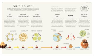 The Science of Baking - 5