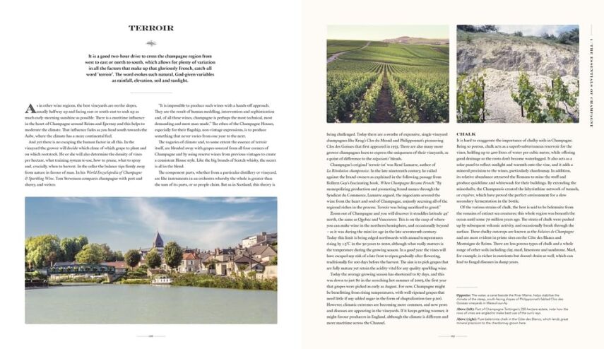 The Story of Champagne Luxury Edition - 4