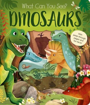 What Can You See? Dinosaurs - Little Tiger
