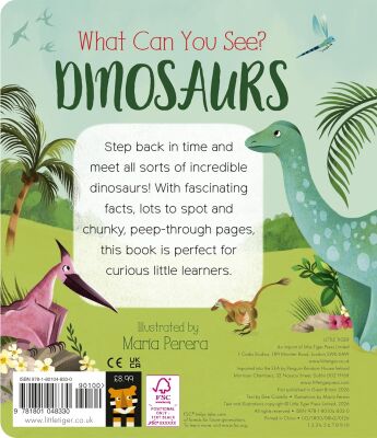 What Can You See? Dinosaurs - 2